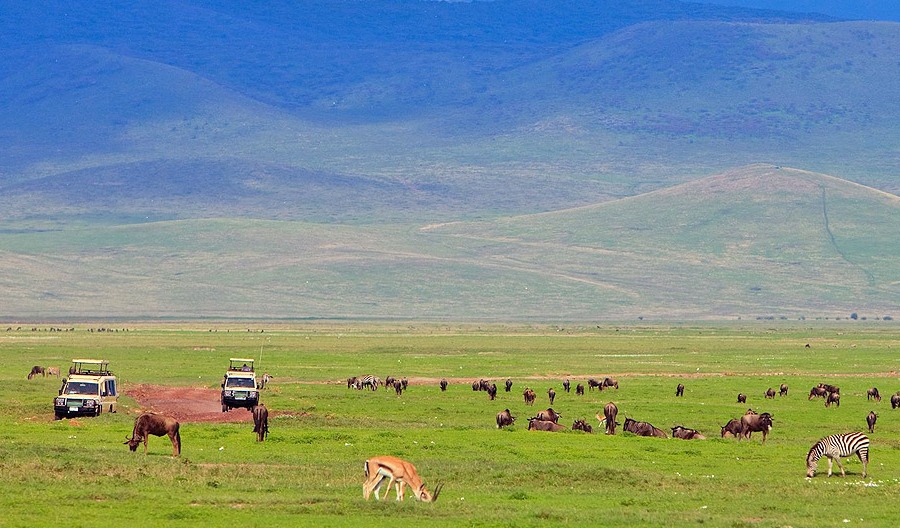 3 days Ngorongoro Safari