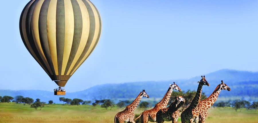 Serengeti national park activities
