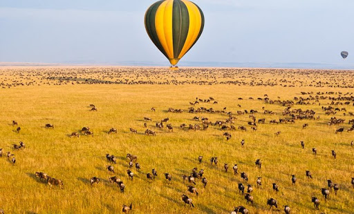 Hot Air Balloon Safari in Tanzania 