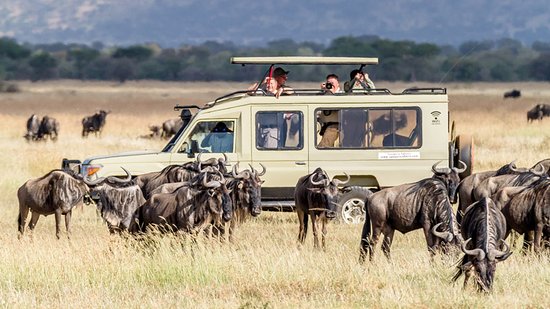 10 days Tanzania safari from Mutukula border