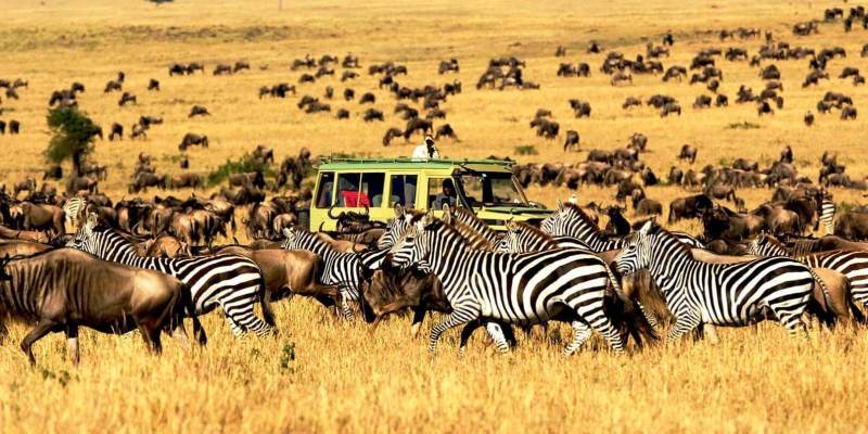6 days Kenya and Tanzania safari