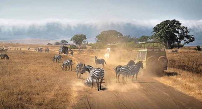 7 days Kenya and Tanzania culture and wildlife safari