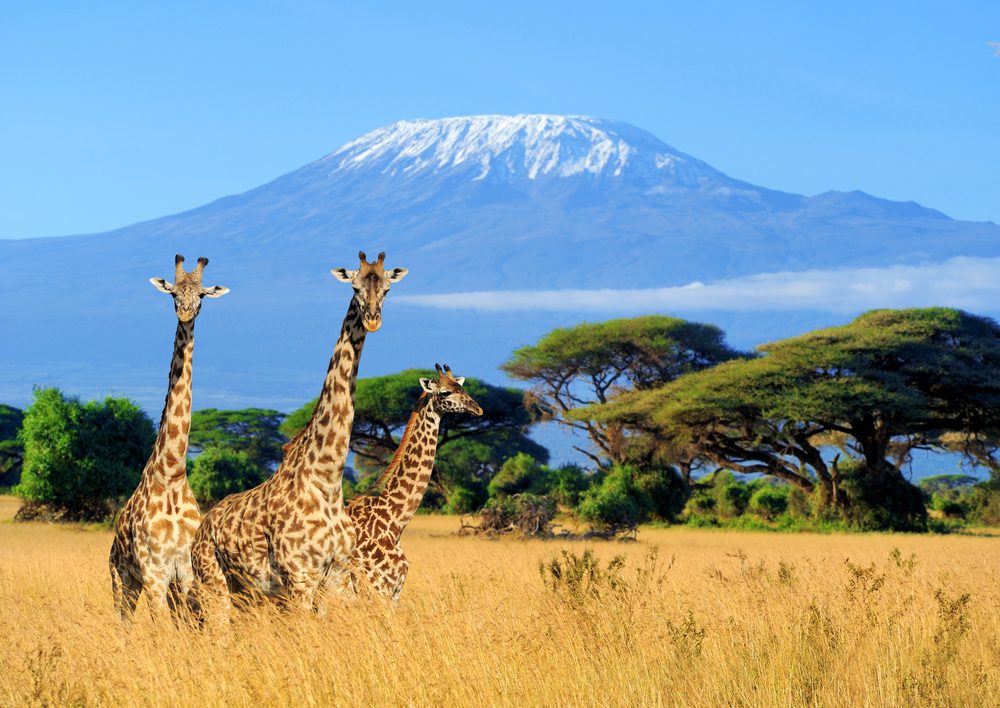 Top 5 Activities in Tanzania