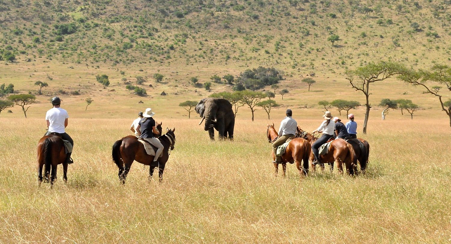 12 Days Luxury Kenya Wildlife and Beach safari