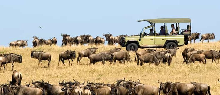 A classic tour to serengeti national park