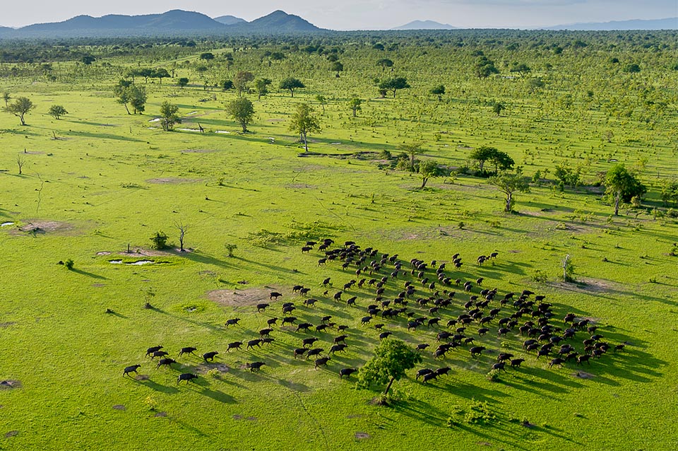 Tourist Attractions in Selous Game Reserve 