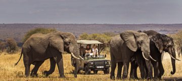 10 days Tanzania Kenya and Uganda safari tour