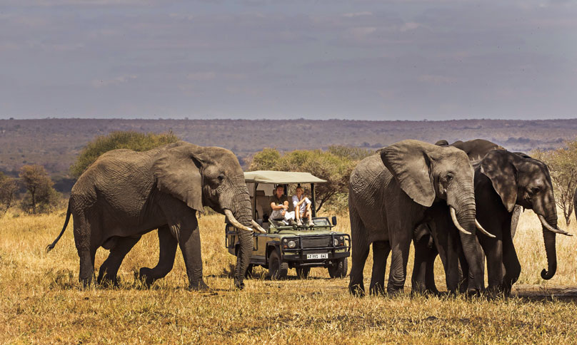 7 days Tanzania big 5 and wildebeest safari