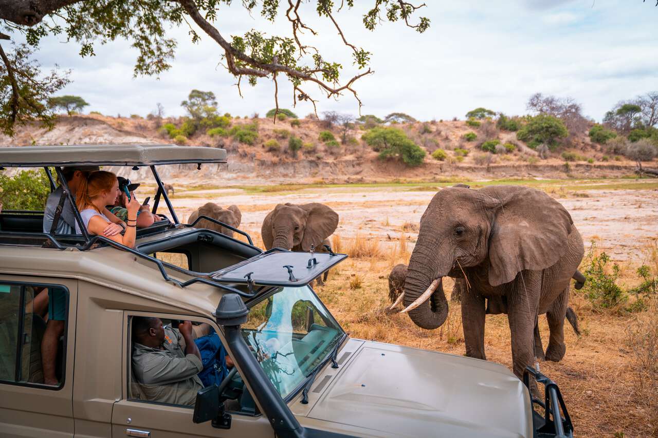 Guide to Self Drive During Tanzania Safari
