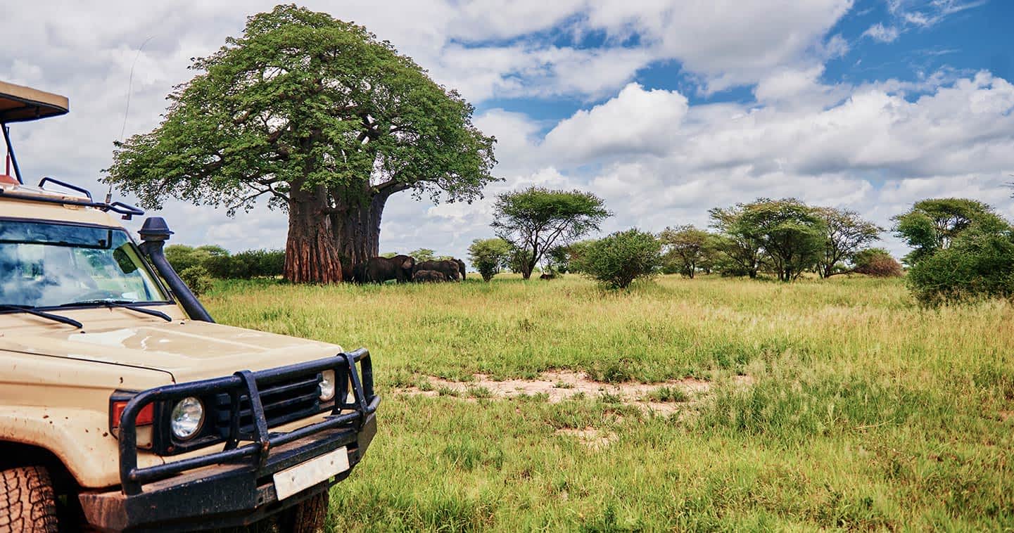 Habitats, Landscape and Plant Life in Serengeti National Park 