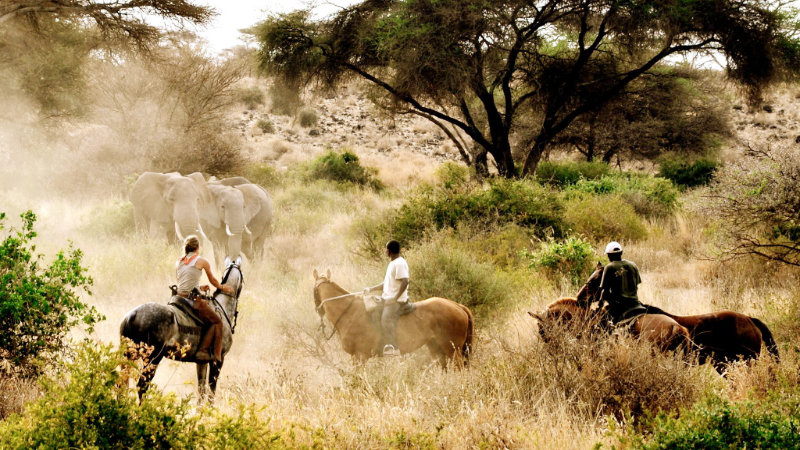 3 Days Horseback Riding Tanzania Safari Tour