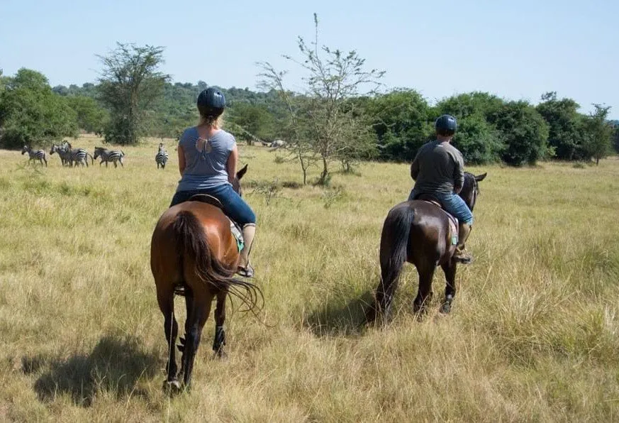 Horseback Safaris In Uganda