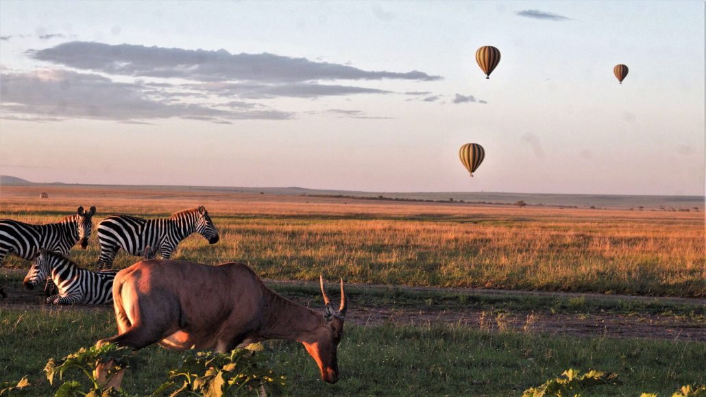See The Serengeti From A Balloon